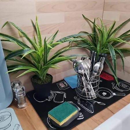 Vue Pour 4 Personnes Accès Direct Wifi Débit Gratuit Appartement Le Barcarès